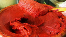 Fiyatını gören şaşırdı...