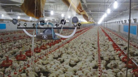 İki ay daha uzatıldı