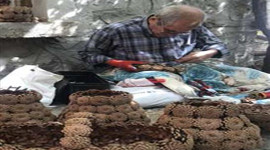 83 yaşında meslek sahibi oldu