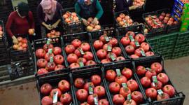 Nar fiyatı üreticini sevindirdi