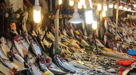 Palamut tavuğun pabucunu dama attı