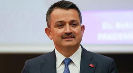 Bakan Pakdemirli'den fındık açıklaması