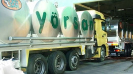 Yörsan'a talip oldular!