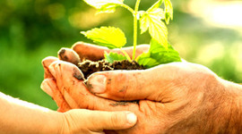 Çevre korumaya 34,4 milyar lira harcandı