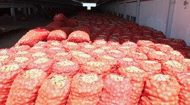 Kasım ayında zam şampiyonu soğan oldu