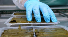 14 ülke peşine düştü!