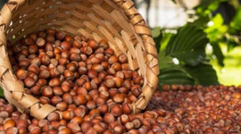 10 yılda 18 milyar dolar kazandırdı!