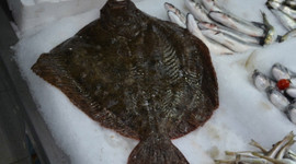 Fiyatı dudak uçuklatıyor