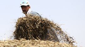 Çiftçi kayıt ve destek başvurularında süre doluyor