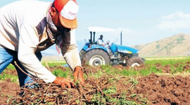 Genetikte banka atılımı