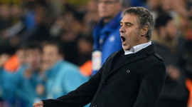 Yanal'dan gövde gösterisi