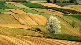 8,5 milyon hektar arazi toplulaştırılacak