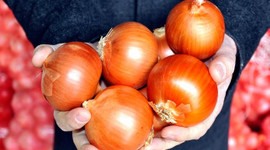 Kuru soğana ithalat yolu açıldı