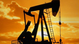 8 ilimizde petrol aranacak