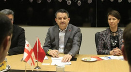 Rusya'nın Türkiye'den domates kotası 100 bin tona çıktı