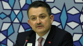 'Çiğ süt destekleme ödemeleri yarın başlayacak'