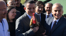 Bakan açıkladı! Artık satılmayacak...