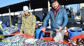 Karadeniz hamsisi yok satıyor
