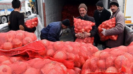 Soğan yüklü TIR'lar Türkiye'ye giriş yaptı!