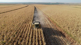 Tarım ÜFE ocakta arttı