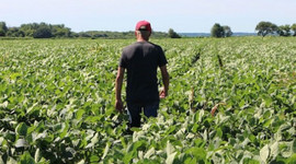 Çiftçilere uyarı: Geç kalmadan yaptırın