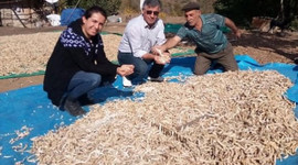 Tescillendi, şimdi yok satıyor