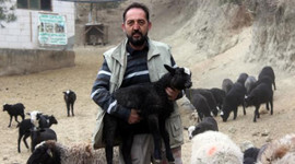 Almak isteyen 4 ay önceden sıraya giriyor! Sahibini zengin ediyor