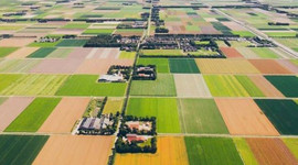 Bazı bölgeler için arazi toplulaştırma kararı