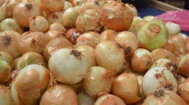 Tarih belli oldu! Fiyatı 1 TL olacak