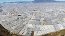 Sebze ve meyvede fiyatları düşürecek dev adım