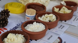 Peynir üreticileri festivalde buluştu