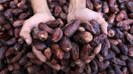 5 yılda 175 milyon dolarlık hurma ithal edildi