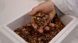 Buda yeşil altın! Dışı da en az içi kadar değerli