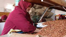 Türkiye'nin en fazla fındık sattığı ülke İtalya oldu