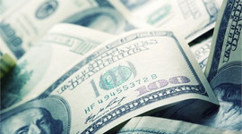 Bu yıl dolar kazandıracak