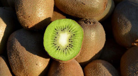 Fırtına kiviye zarar verdi