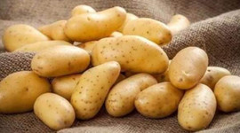 "Patates tarlada 1,4 liraya kadar geriledi"