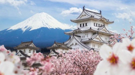 Bakanlardan Japonya'ya ekonomik çıkarma!