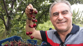 Edirne'den Avrupa'ya ihraç ediliyor