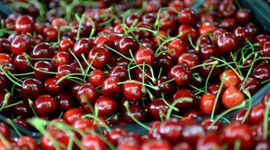 Napolyon kirazı üreticinin yüzünü güldürdü