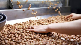 Fiyatı 20 liradan 13 liraya düştü