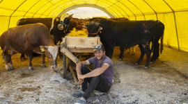 Kurban satışları başladı