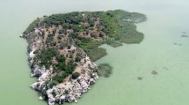 Sahibinden satılık ada!