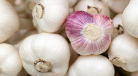 Sarımsak üreticileri çok mutlu