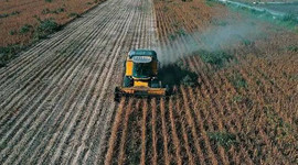 Çiftçiye destek ödemesi başlıyor!