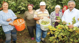 Alım fiyatları yüz güldürdü