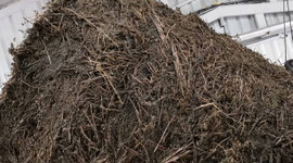 Kekik yağının litresi 350 liradan satılıyor