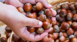 Ödemeler 20 gün içinde yapılacak