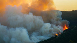 Yangınlar cebimizi de yaktı