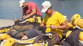 Av yasağı 1 Eylül'de kalkıyor